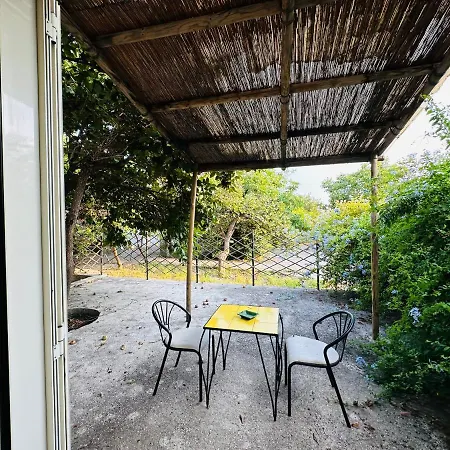 Il Vitigno Di Dioniso * Forio di Ischia