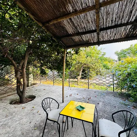 Il Vitigno Di Dioniso Forio di Ischia