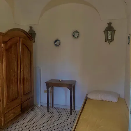Il Vitigno Di Dioniso *
