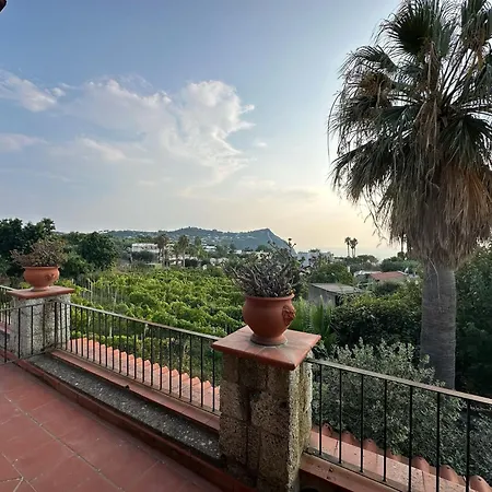 Hotel Il Vitigno Di Dioniso *